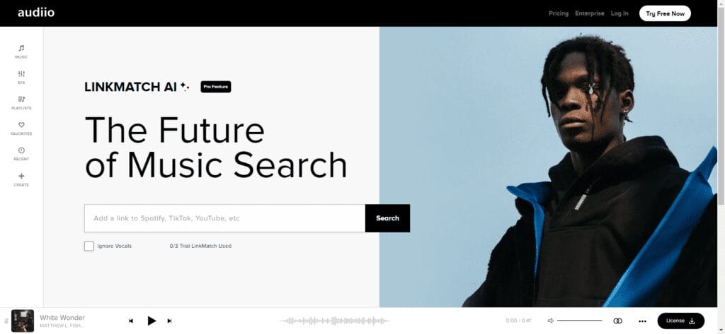 linkmatch ai an ai powered music search tool